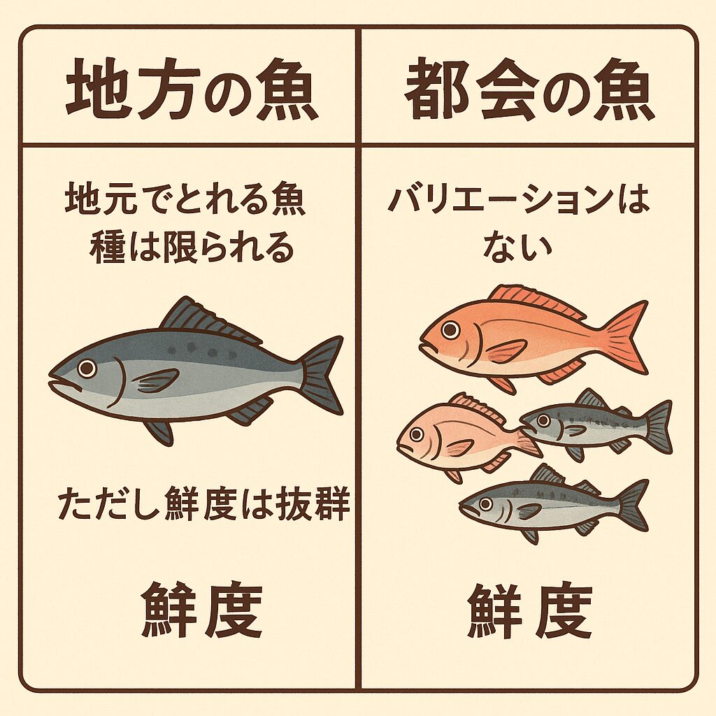 【地方の魚は新鮮だけど種類が少ない?】
鮮度抜群の地元魚と都会のバリエーション豊富な魚の違い説明。釣太郎