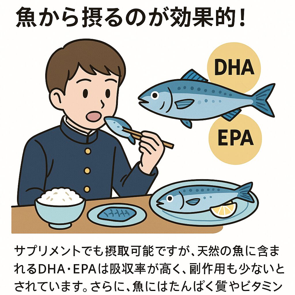 受験期の集中力・記憶力アップにはDHAとEPAの摂取が重要です。もちろんサプリメントも補助的に役立ちますが、吸収率・栄養バランス・安全性の観点からは、天然魚に軍配が上がります。釣太郎