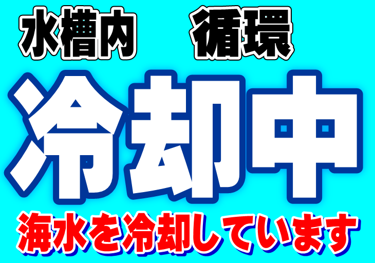 活アジ水槽は冷却し水温21度代をキープしています。釣太郎