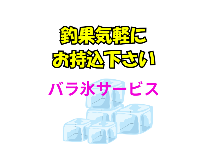アオリイカ、コロダイ、その他、釣った魚、気軽にお持込下さい。お待ちしています。釣太郎