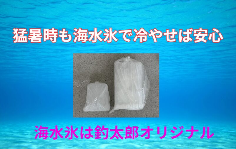 【AIが証明】魚体30℃→10℃以下を5分で冷却!海水氷は真水氷の2倍の冷却効率!釣り人の新常識とは?釣太郎