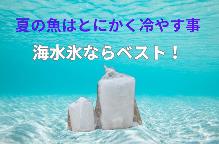 あなたの釣果を、プロ並みに美味しく、安心して持ち帰るために。
次の釣行では「海水氷」——この一手で、釣りが変わる。釣太郎
