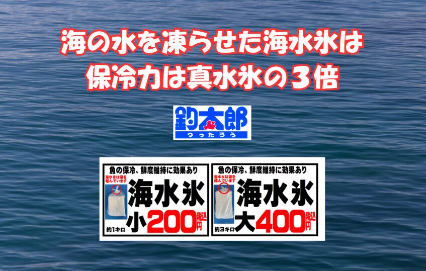 【釣り人の9割がリピート】真水氷には戻れない!?「海水氷」が圧倒的人気の理由。釣太郎
