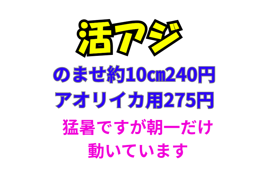 活アジ、ノマセとアオリイカ釣用、あります。釣太郎