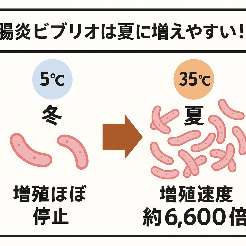 【要注意】腸炎ビブリオは夏に冬の6,600倍も増える!?魚介類の正しい扱いと食中毒予防法。釣太郎