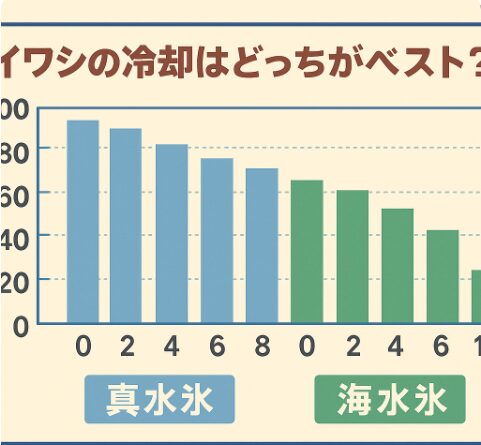 イワシの冷却、鮮度維持には海水を凍らせた海水氷がベスト!釣太郎