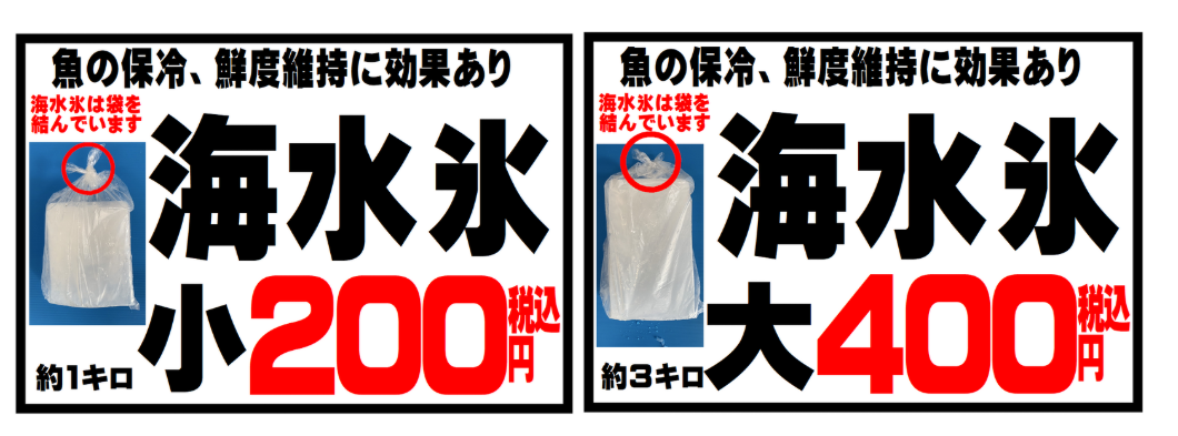 【夏場に力を発揮!】釣り人に圧倒的人気の海水氷とは?一度使えば戻れないその効果説明。釣太郎
