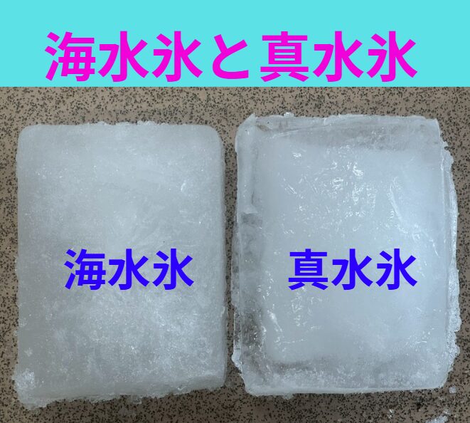 【釣り人必見！】夏場の魚冷却はこれで完璧！海水氷と真水氷、どっちが正解？釣太郎