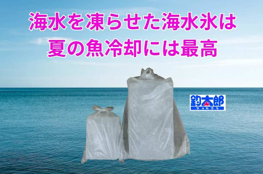夏の魚冷却は「海水氷」がベストな理由｜真水氷との違いと安心感を徹底解説。釣太郎