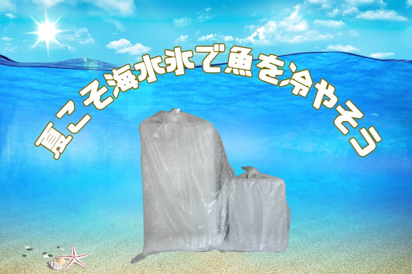 【釣り氷の新常識】釣太郎の常連客はもう真水氷を買わない！？“海水氷”が選ばれる本当の理由【AI解説】