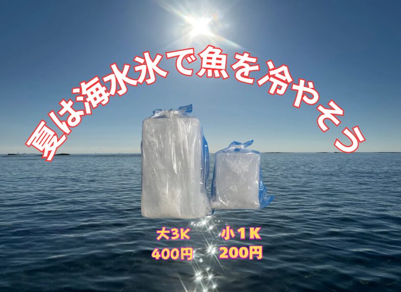 魚の芯まで冷やすなら「真水氷」より「海水氷」がおすすめな理由をChatGPTが徹底解説！釣太郎