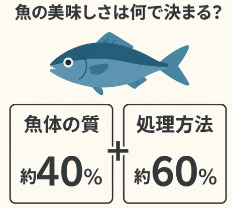魚の美味しさは“釣った瞬間”で決まる？魚体と処理の重要性をAIが徹底解析。釣太郎