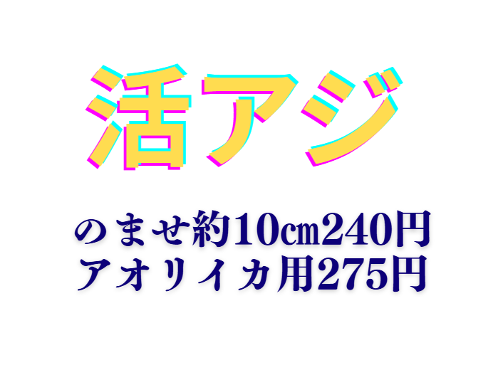 活アジ、ノマセとアオリイカ釣用、あります。釣太郎
