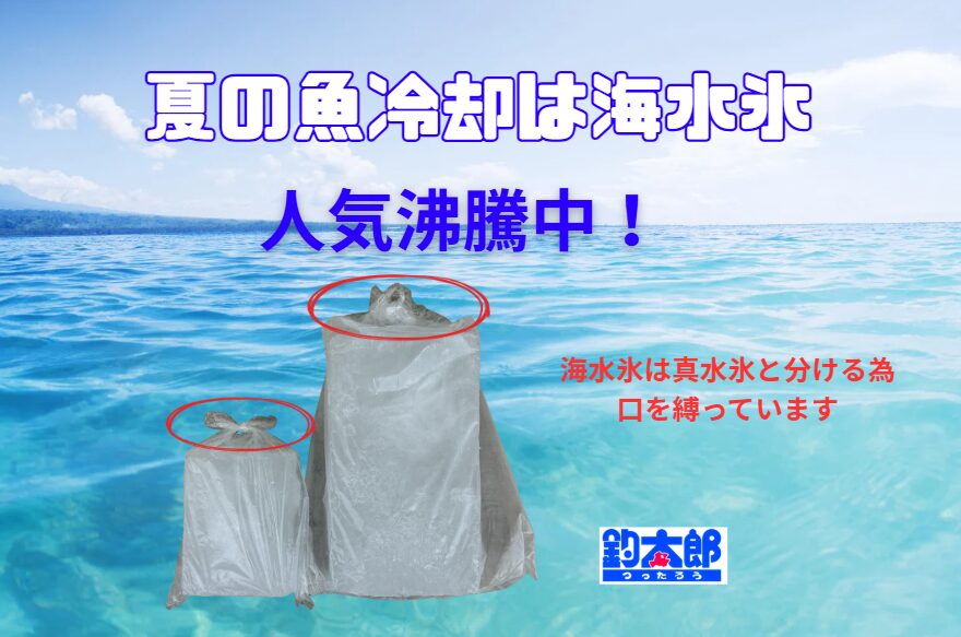 【釣り氷革命】なぜ今、海水氷が主流に？真水氷からの移行が加速する理由。釣太郎