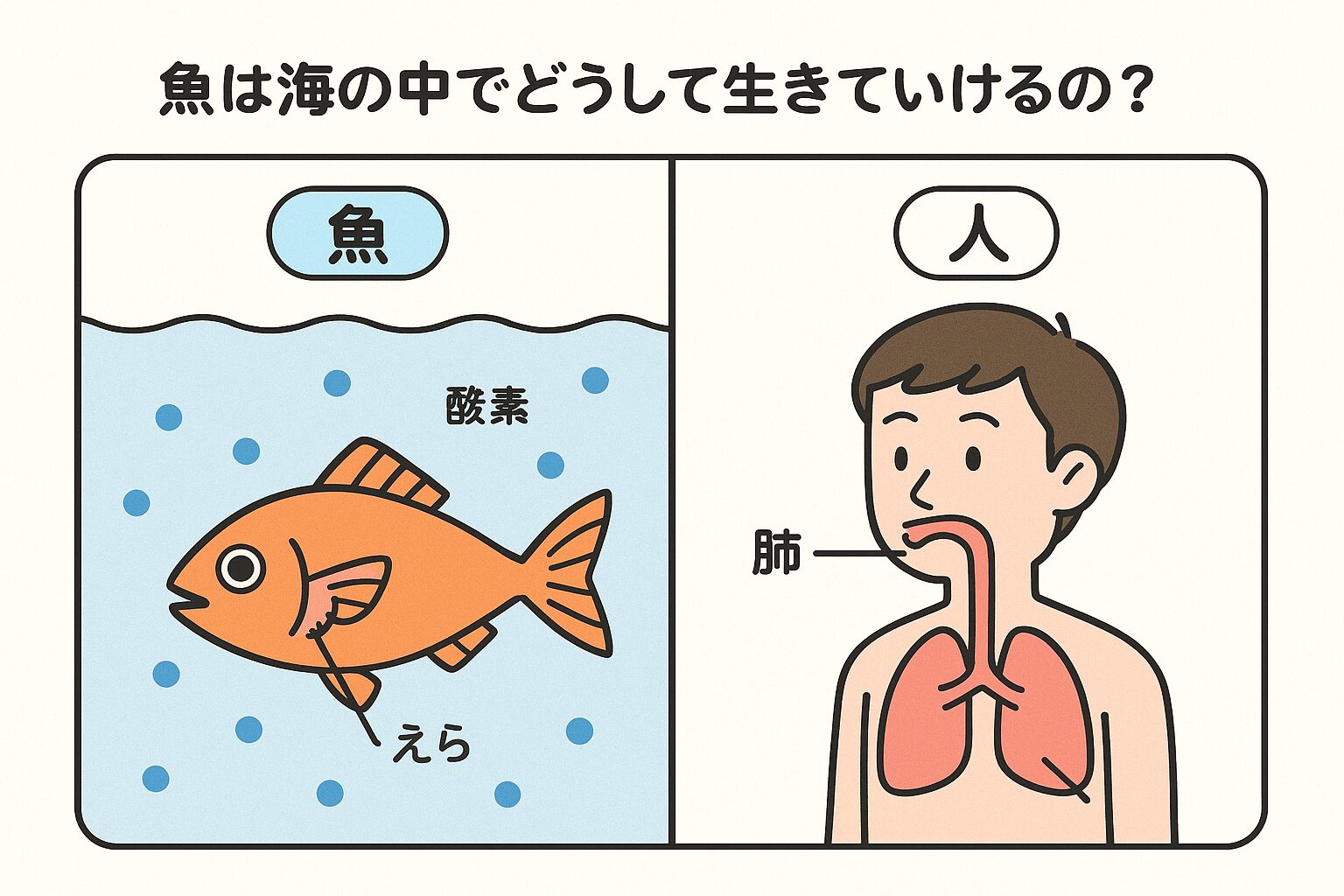 魚が海の中で生きられる仕組みをわかりやすく解説し、あわせて人間が海中で生きられない理由も科学的に説明します。釣太郎