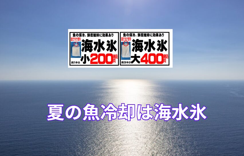 釣り上げた魚の命をどう守るか。それは、釣りの最後にして最大の勝負。 海水氷は、その勝負に応えてくれる“究極の相棒”です。釣太郎