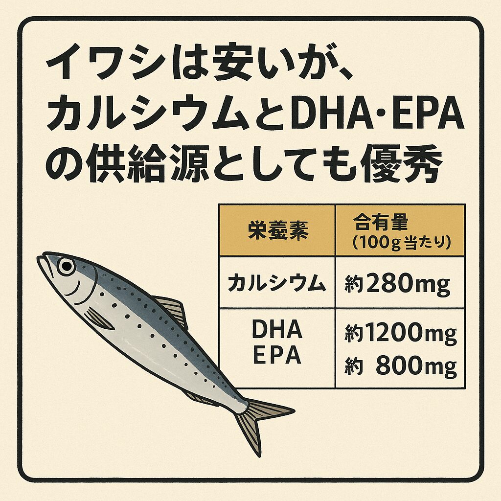 【安いだけじゃない】イワシは“健康栄養の塊”だった！カルシウム・DHA・EPAが驚異の含有量。釣太郎