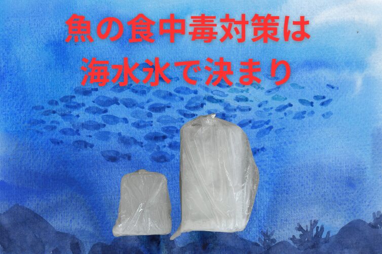 【夏の釣り必須】暑い夏こそ「海水氷」で魚を守れ!真水氷との決定的な違い説明。釣太郎