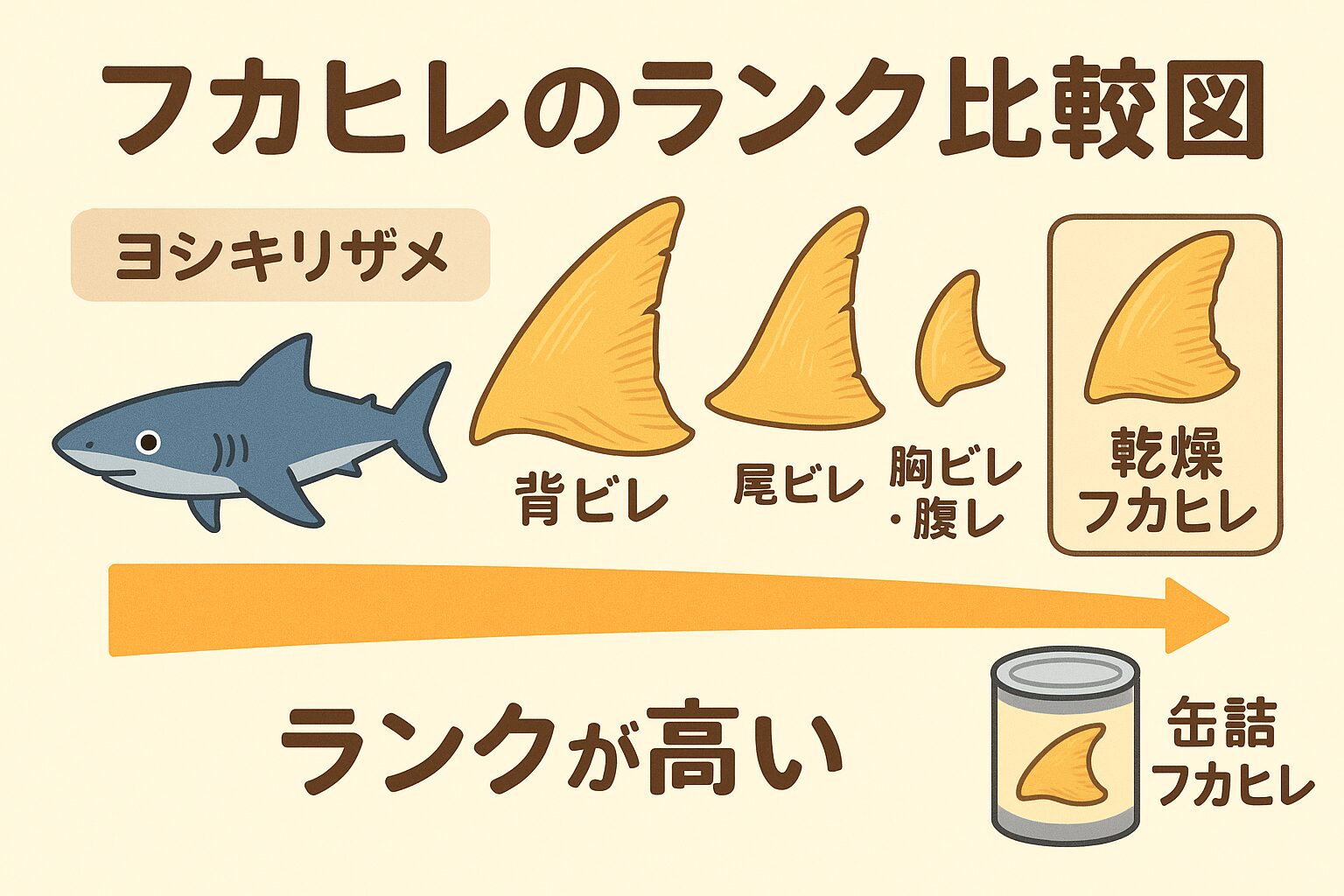 フカヒレスープの秘密！実はサメの種類とヒレの部位でランクが決まる。釣太郎