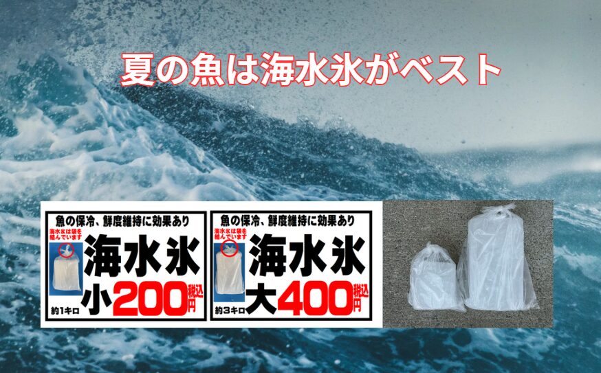 夏の臭い対策には“海水氷”が最強！ 真水氷との決定的な違いとは？冷却力・鮮度・臭い抑制まで徹底解説！釣太郎