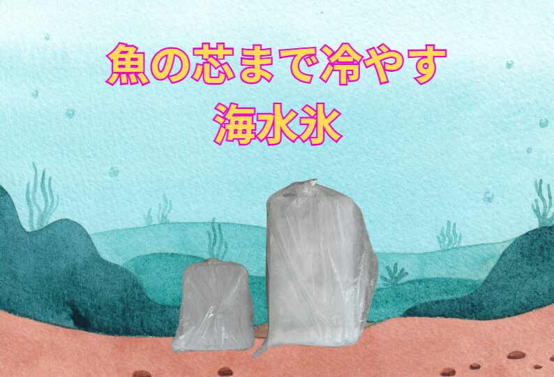 海水氷なら、猛暑時でも魚の芯まで冷やせ安心。釣太郎