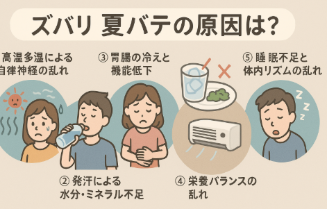 夏バテの原因は、自律神経の乱れ・脱水・胃腸の冷え・栄養不足・睡眠不足の5つが大きな要因。釣太郎