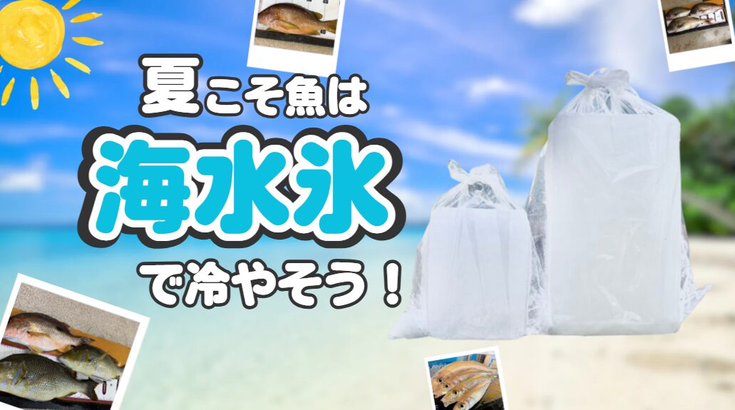 猛暑時の魚の冷却には、海水を凍らせた海水氷が最適。魚芯まで冷えます。釣太郎