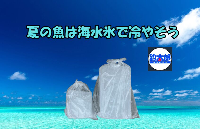 【AIが警告】夏の釣り魚は「海水氷」一択！食中毒リスクを約81％削減する驚きの効果とは？釣太郎