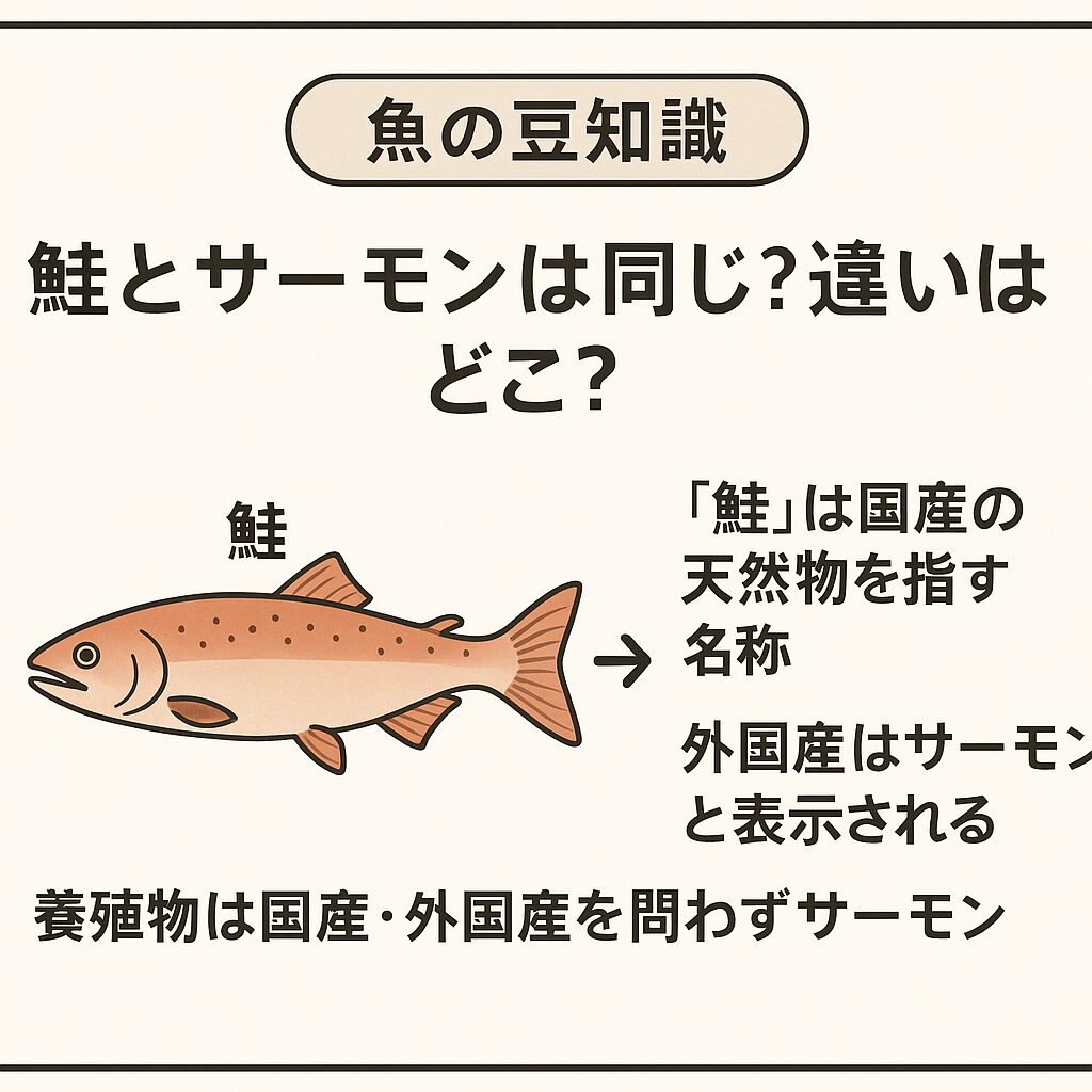 「鮭＝和食用」「サーモン＝刺身用」と覚えると簡単！釣太郎
