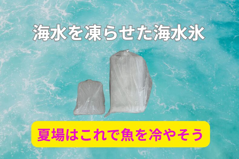 夏の魚は冷やす事が一番重要だが、海水を凍らせた海水氷は真水氷より冷やせる。釣太郎1キロ3キロあるが釣り人に大好評。
