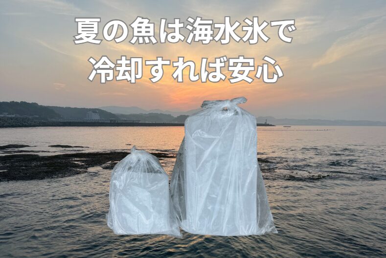 どうして夏の魚冷却は真水氷より、海水をこらせた海水氷のほうがいいのか？AIが詳細説明。釣太郎