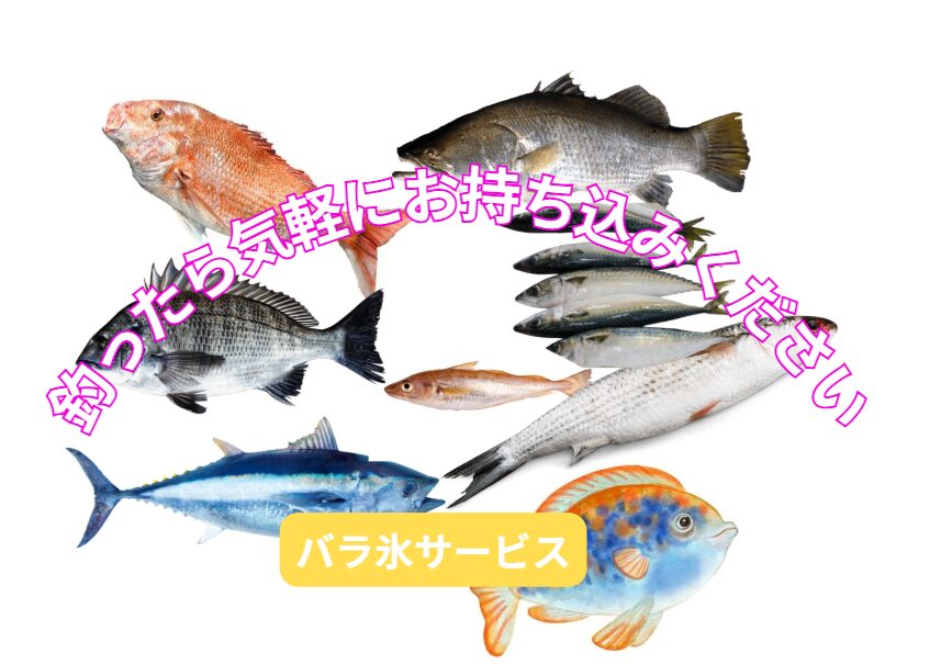 魚釣ったら、気軽にお持ち込みください。魚種サイズ問わず、バラ氷サービス！釣太郎