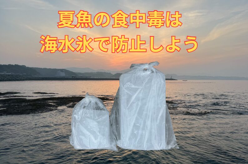 釣った魚の食中毒を防ぐ「海水氷」の力とは?真水氷との違いをAIが徹底解析!釣太郎