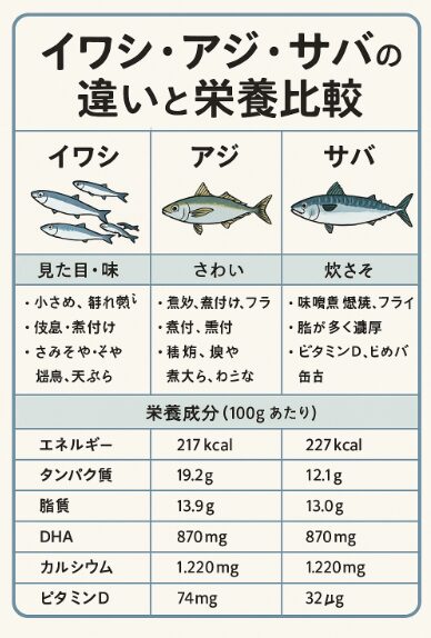 イワシ・アジ・サバの違いとは？三大大衆魚の特徴と栄養価を徹底比較！釣太郎