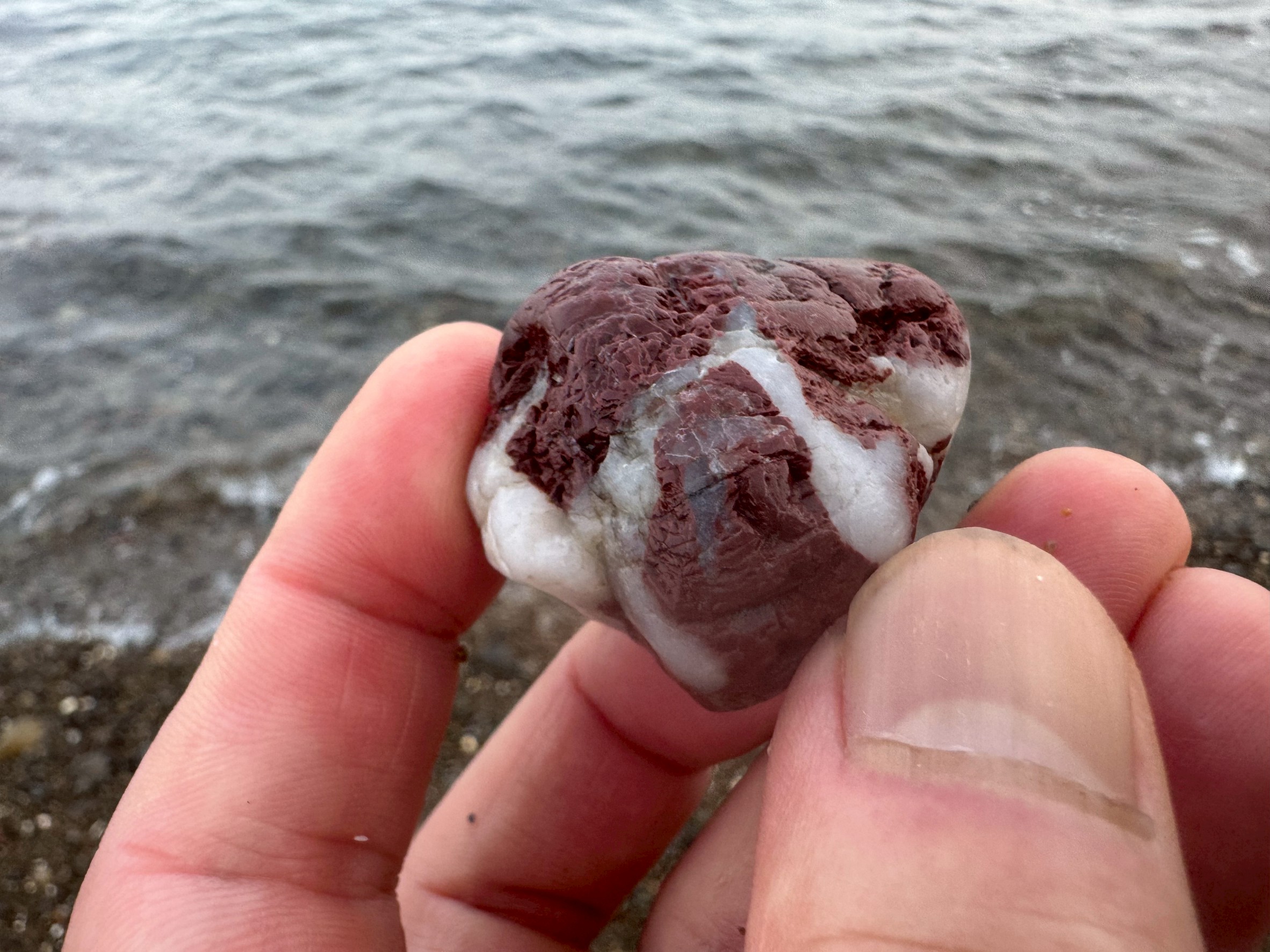 赤色に白いラインが入った、ビーチで見つけたこの小石はこのような模様がしっかりと現れ、丸くなるまでには、 数万年〜数百万年という気の遠くなるような時間が必要です。釣太郎