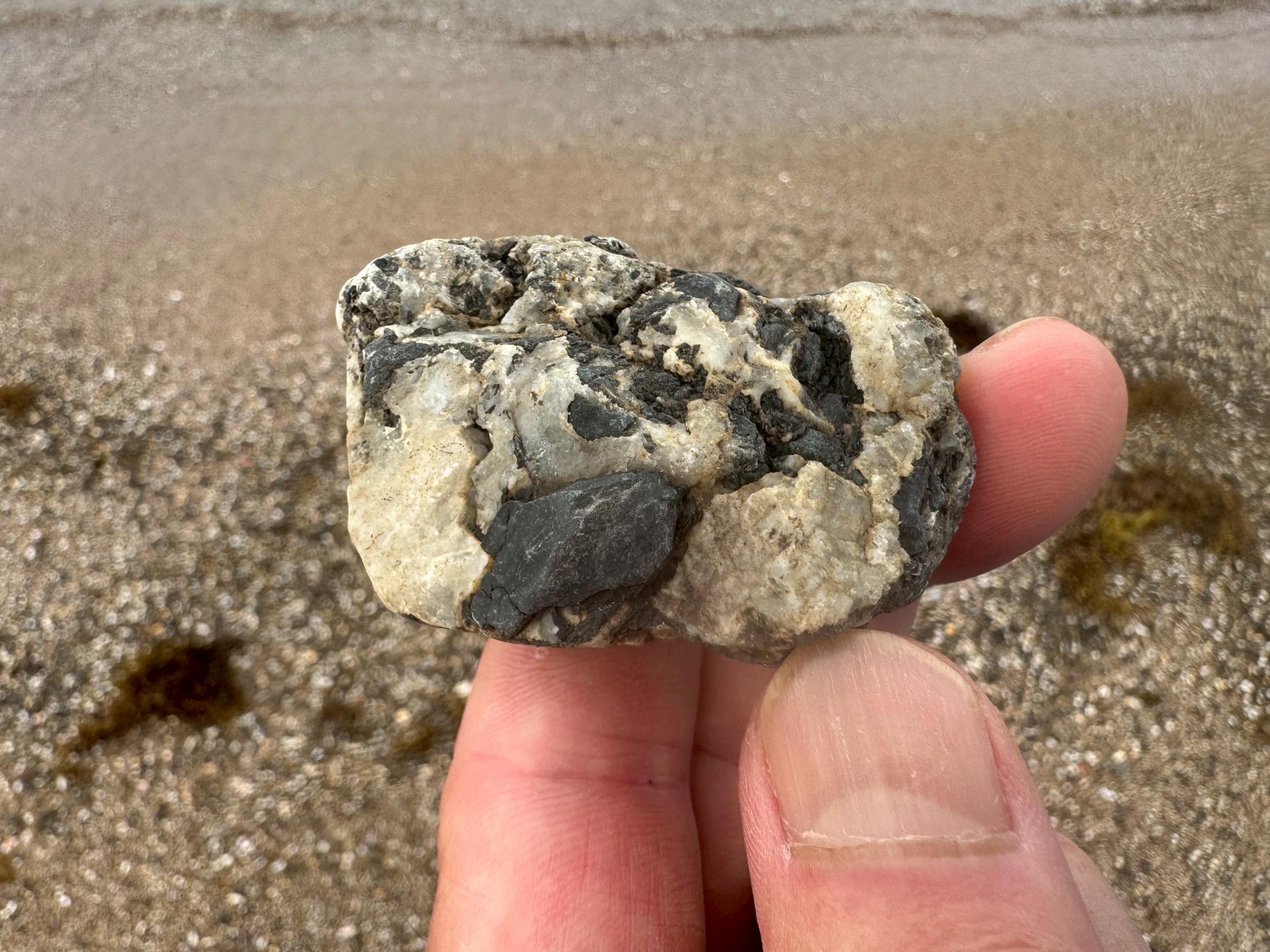 ビーチで拾ったこの石は、見た目から判断すると**「礫岩(れきがん)または脈石入りの石英混じり岩石」**の可能性が高い。釣太郎