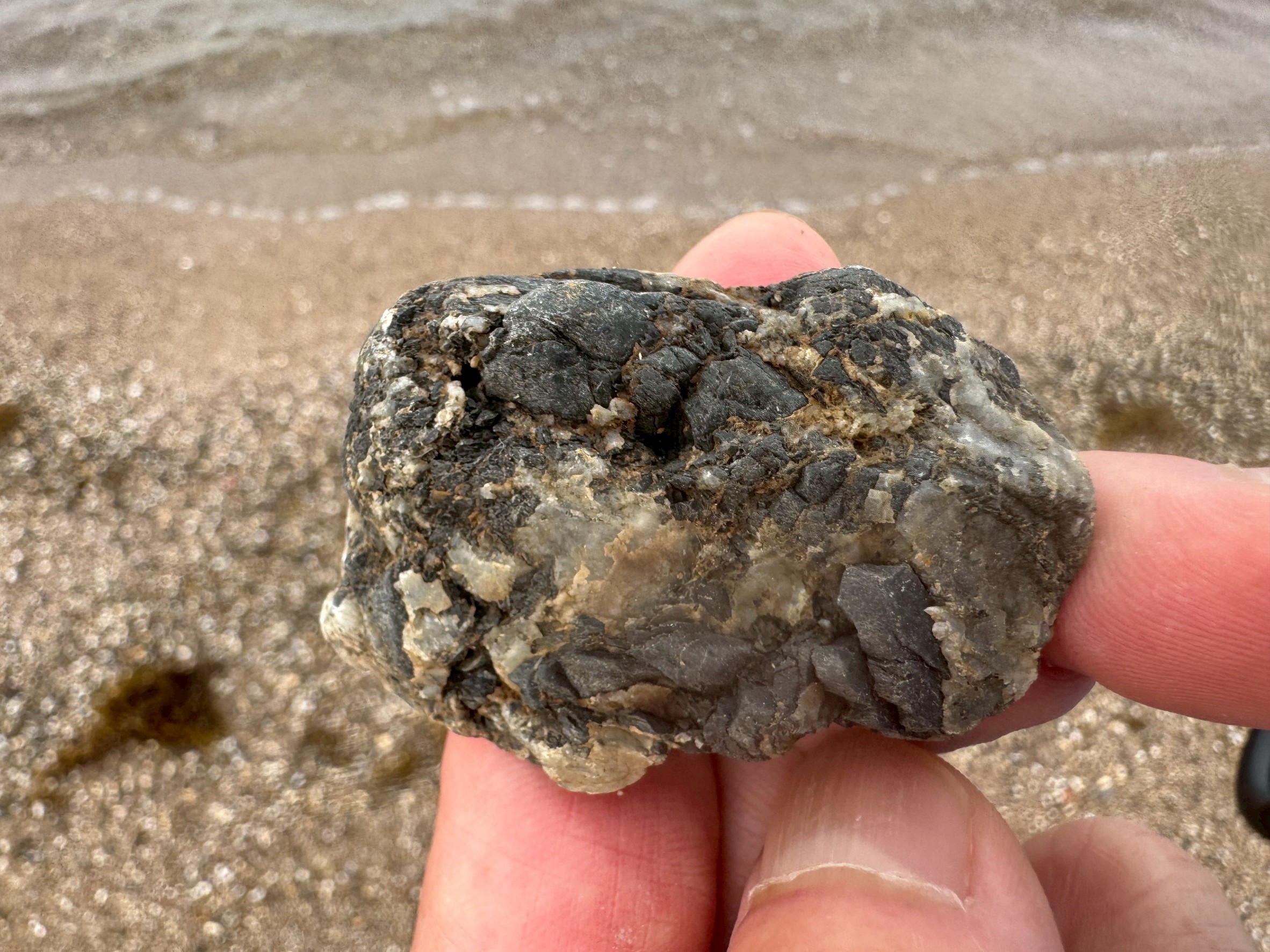 この小石は、見たところ**チャート（珪質岩）**の一種である可能性が高い。釣太郎