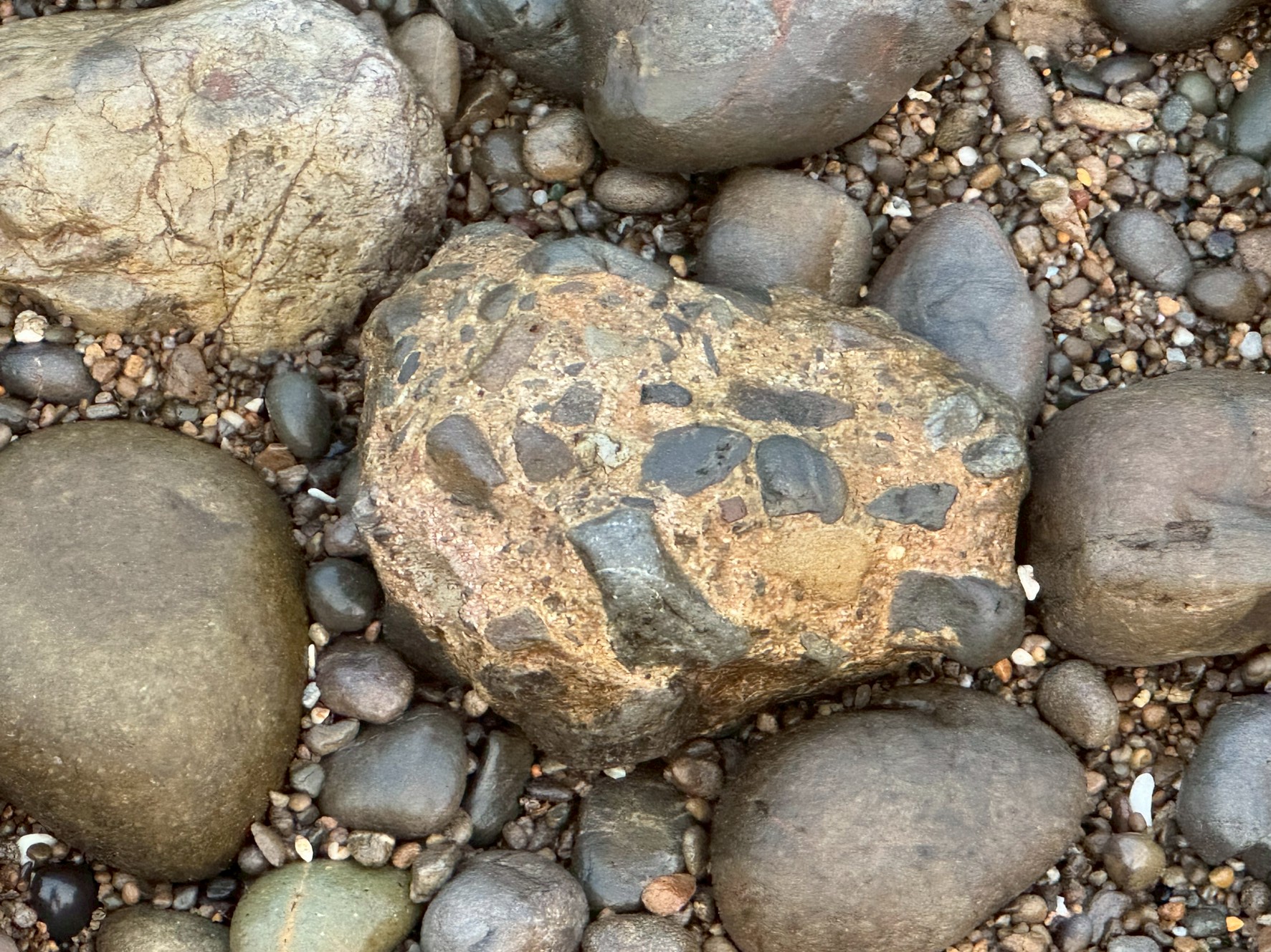 中央の特徴的な石は、礫岩（れきがん）。釣太郎