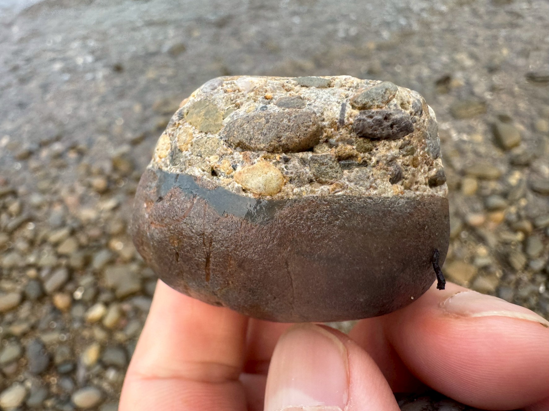 砂浜で見つけた！まるで「プリン」のような珍しい石の正体。釣太郎