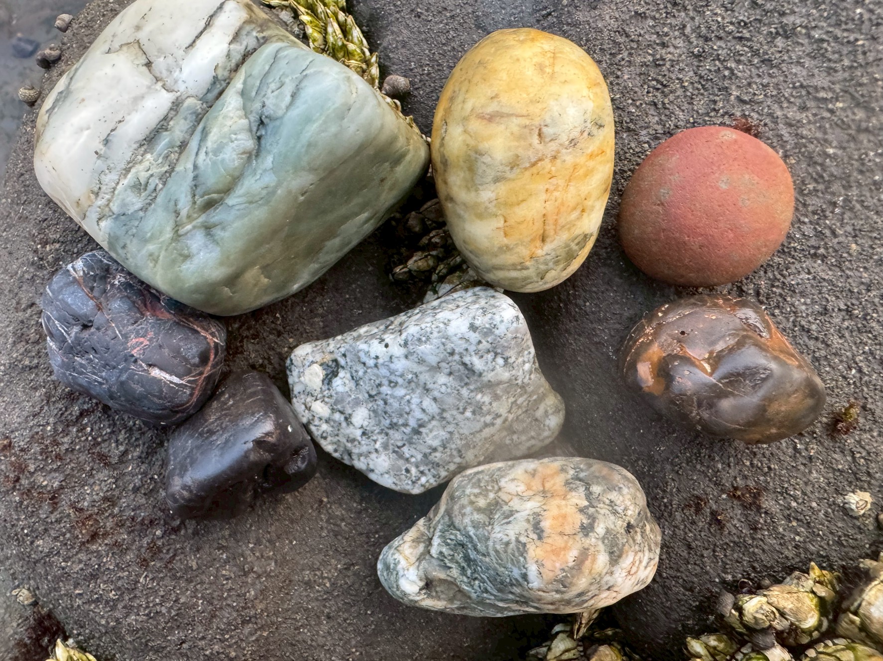 【何億年の旅？】ビーチに打ち上げられた小石たちができるまでの時間。釣太郎