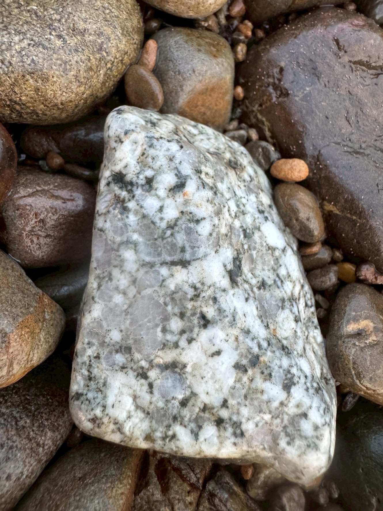 【写真付き解説】白黒模様のこの小石の正体は？海辺や川原で見かける花崗岩の魅力。釣太郎