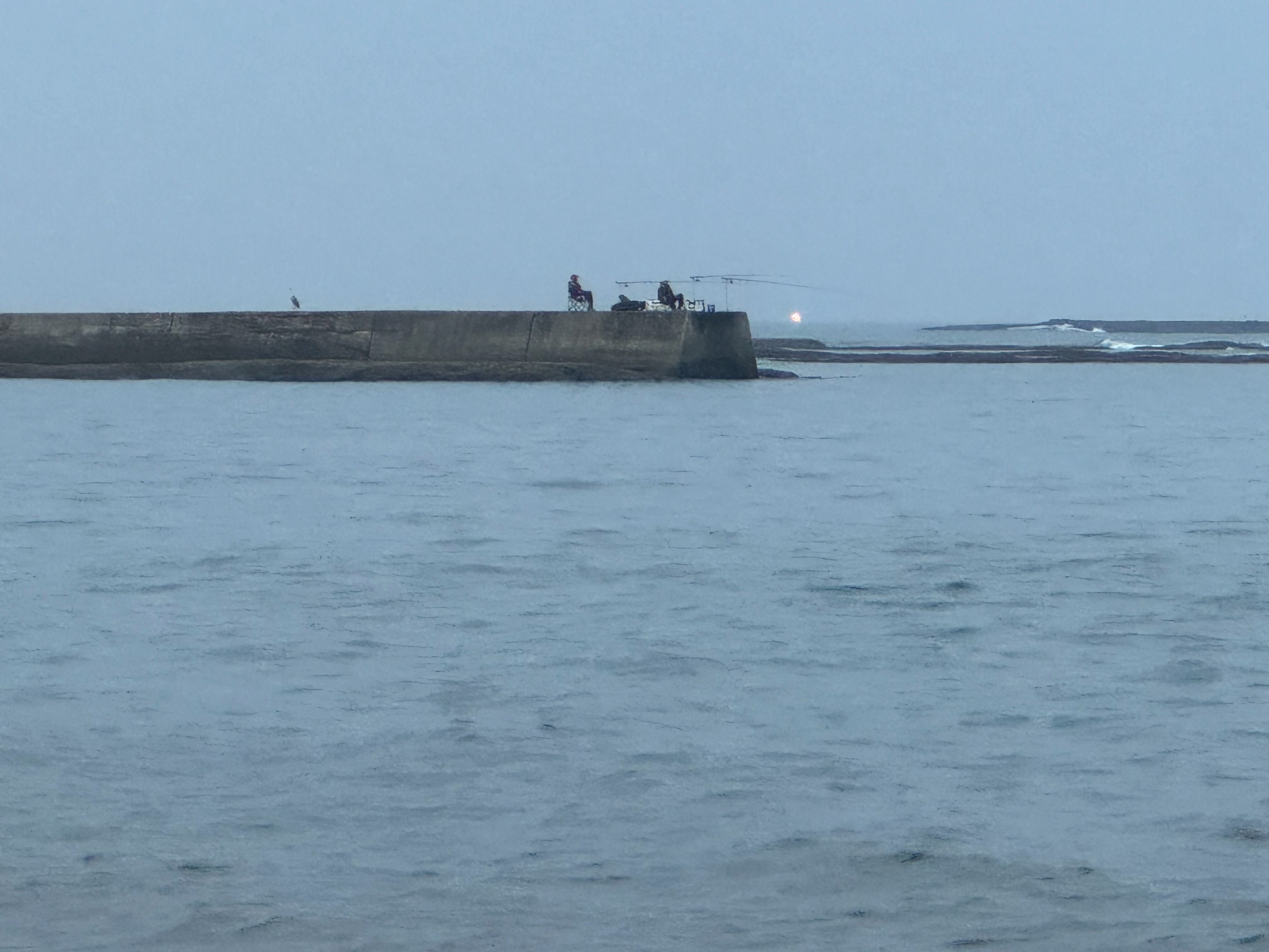 【夏の釣りは朝だけが正解！？】“朝まずめ”だけ竿を出す人が増えている理由とは？釣太郎