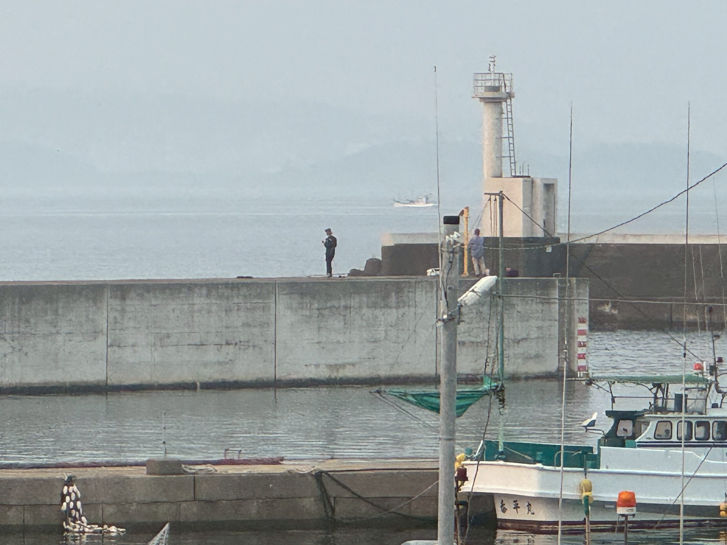 涼しい朝だけ竿を出す朝マズメフィッシング、静かなブームとなっています。釣太郎