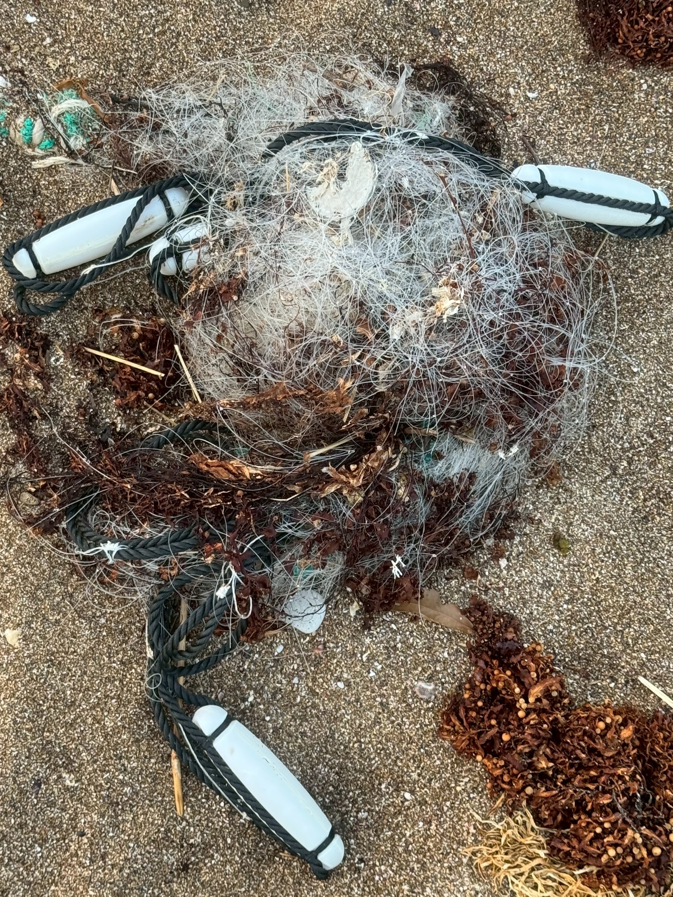 見えない脅威:なぜ商業用漁具が海洋プラスチック汚染を圧倒するのか。釣太郎