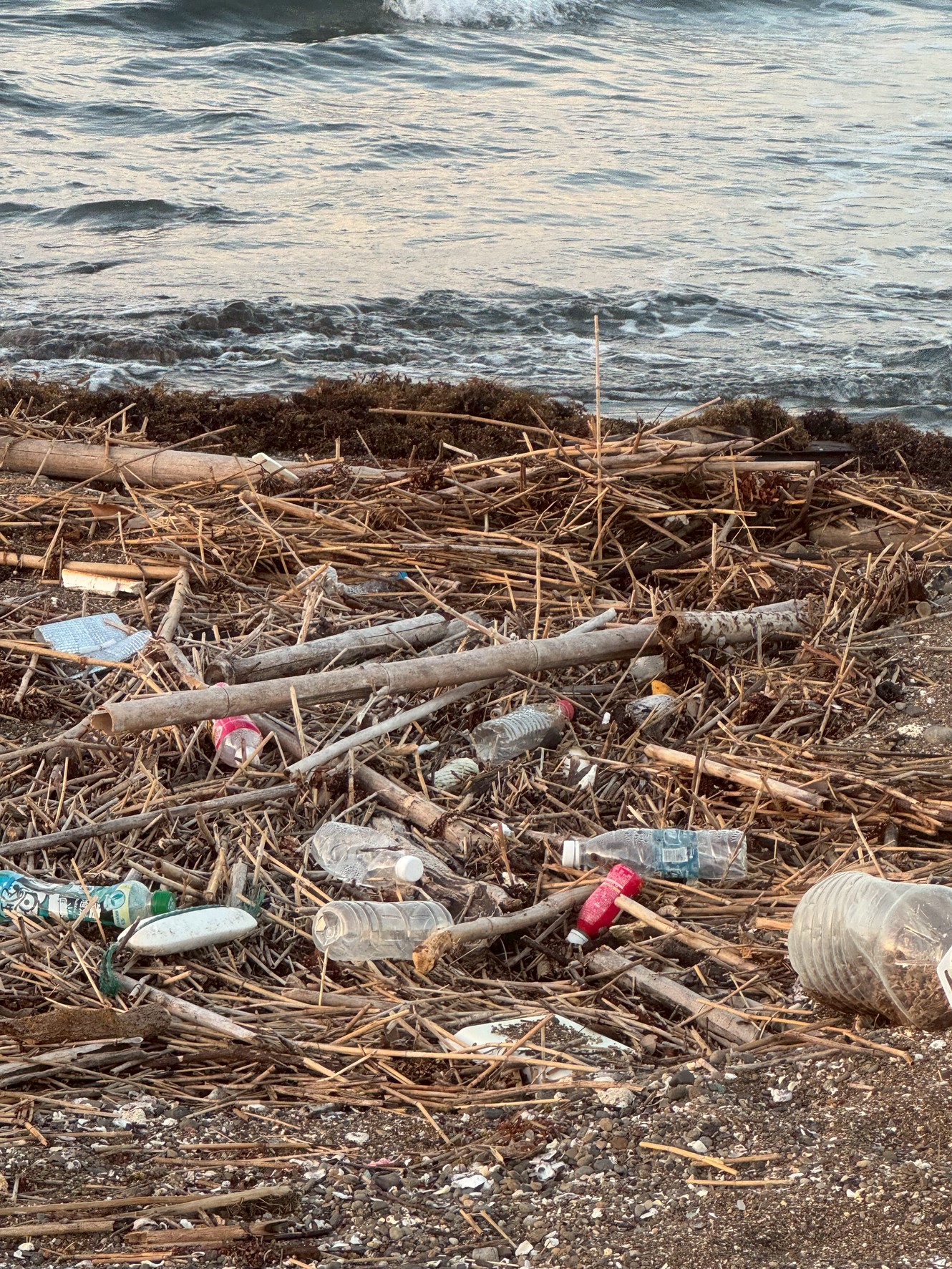 【深刻】砂浜には毎日のようにペットボトルが漂着する現実──釣り人も無関係じゃない海のゴミ問題。釣太郎