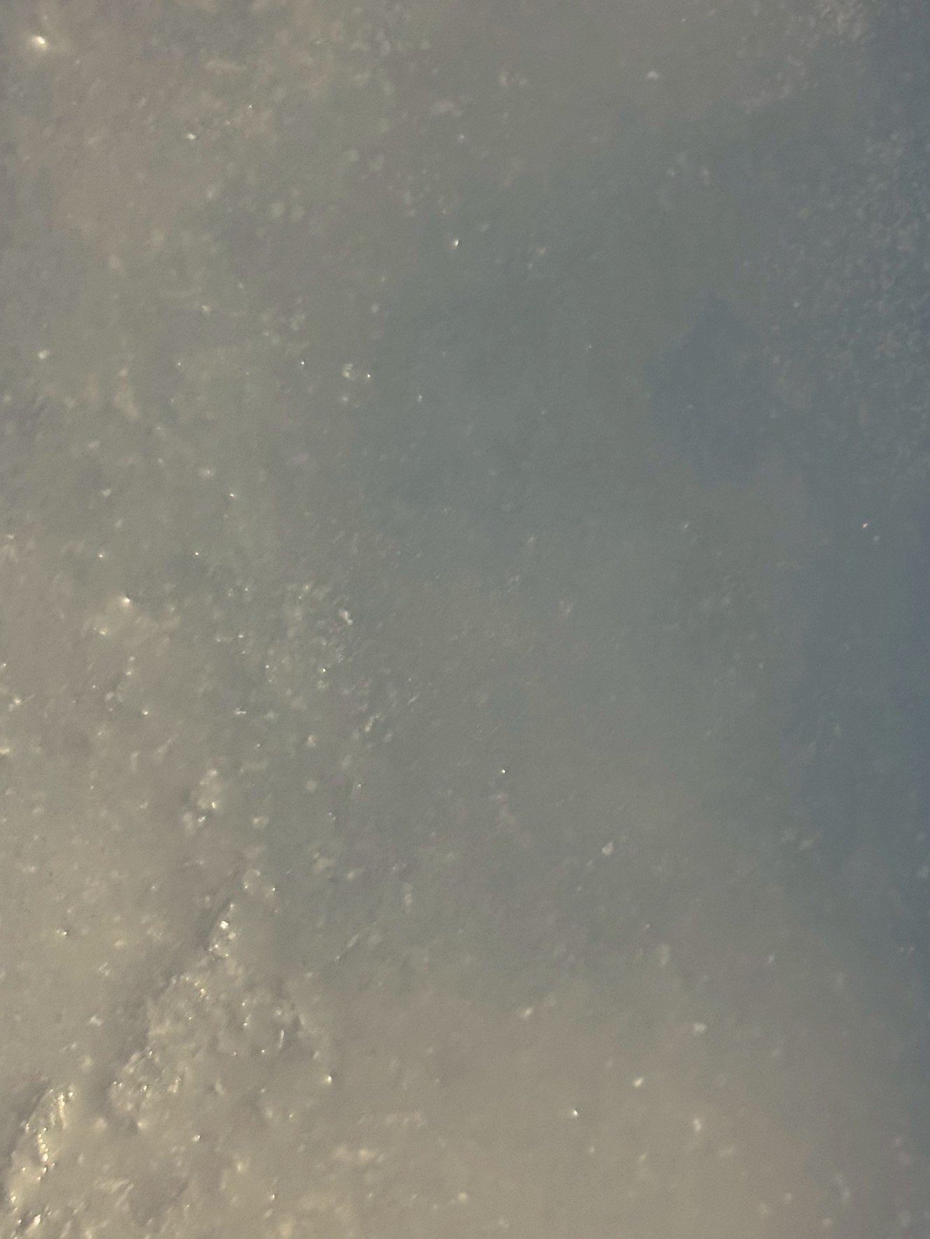 なぜ「海水氷」は普通の氷と違う? 人気急上昇の秘密をAIが解説!釣太郎