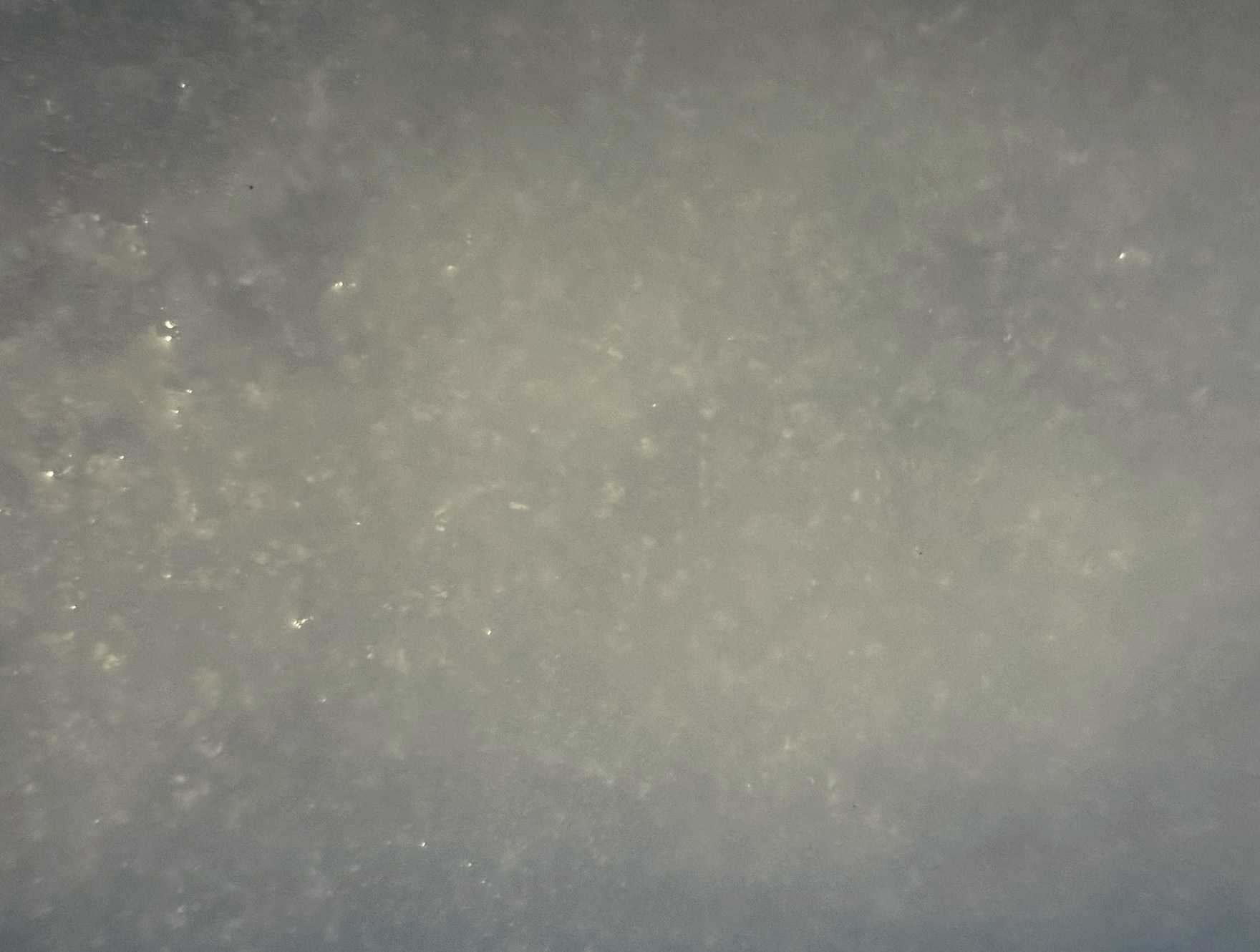 表面ざらざら、でも魚にやさしい。 これが海の力！自然のまま凍らせた『海水氷』が夏場の魚冷却に、注目される理由。釣太郎