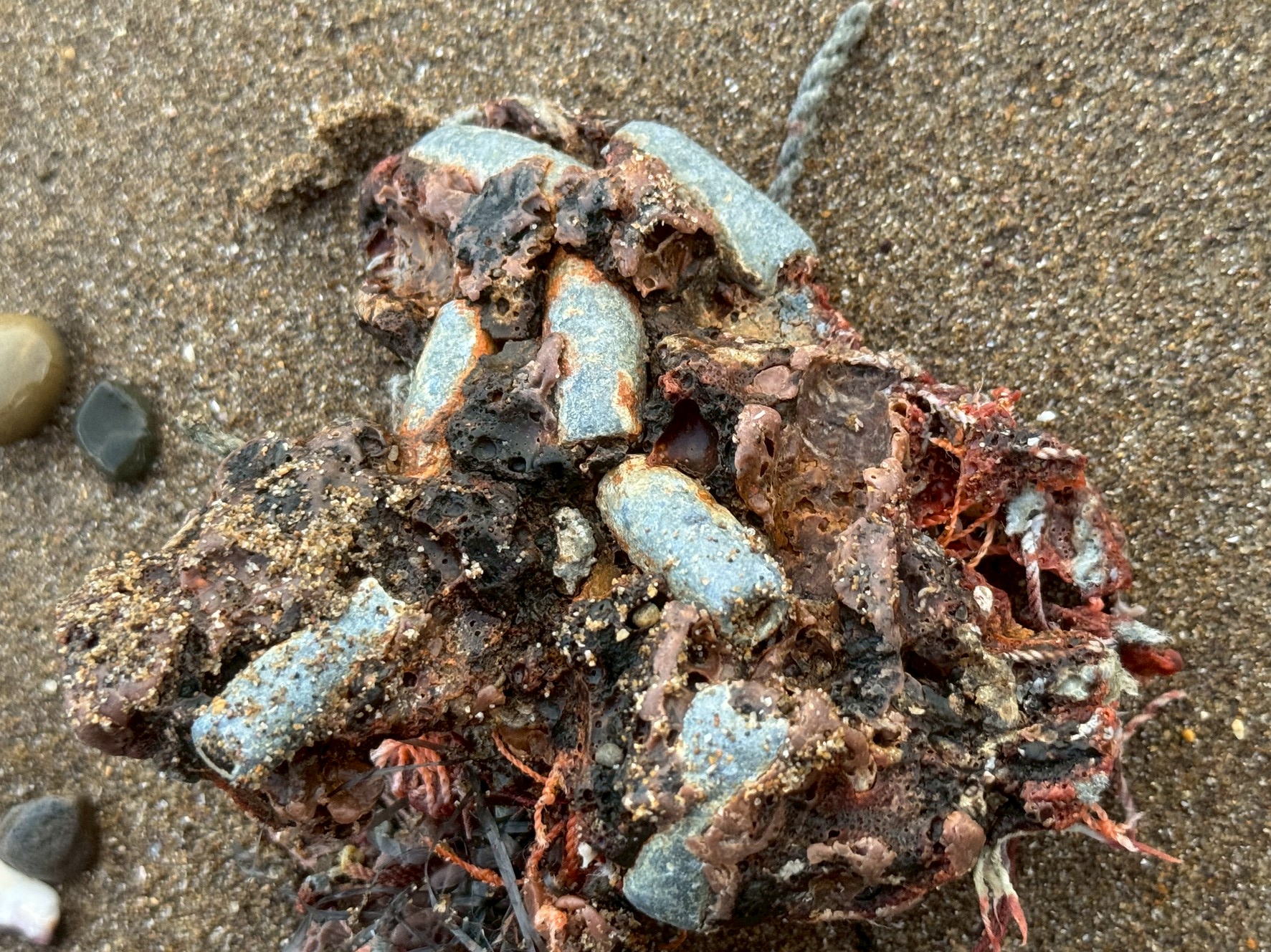 【これは何？】ビーチに打ち上げられた謎の塊を徹底解説！ 海からの漂流物に潜む、自然と人工物の融合とは？釣太郎