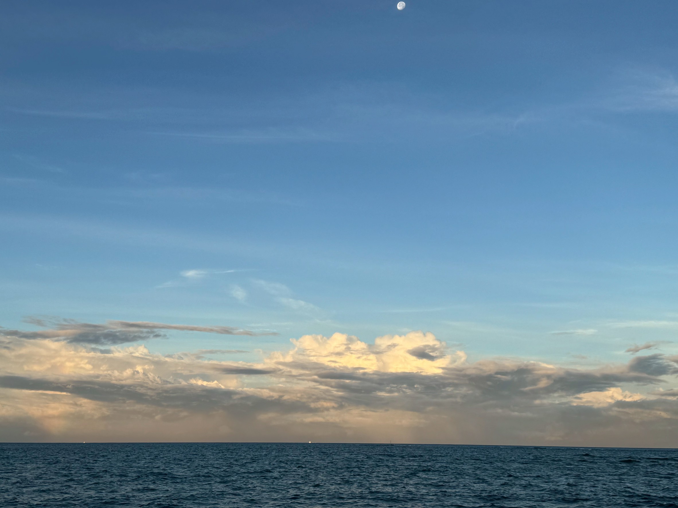 【夏の快適釣行術】猛暑も夜釣りも苦手なあなたに！朝マズメフィッシングが断然おすすめ！釣太郎