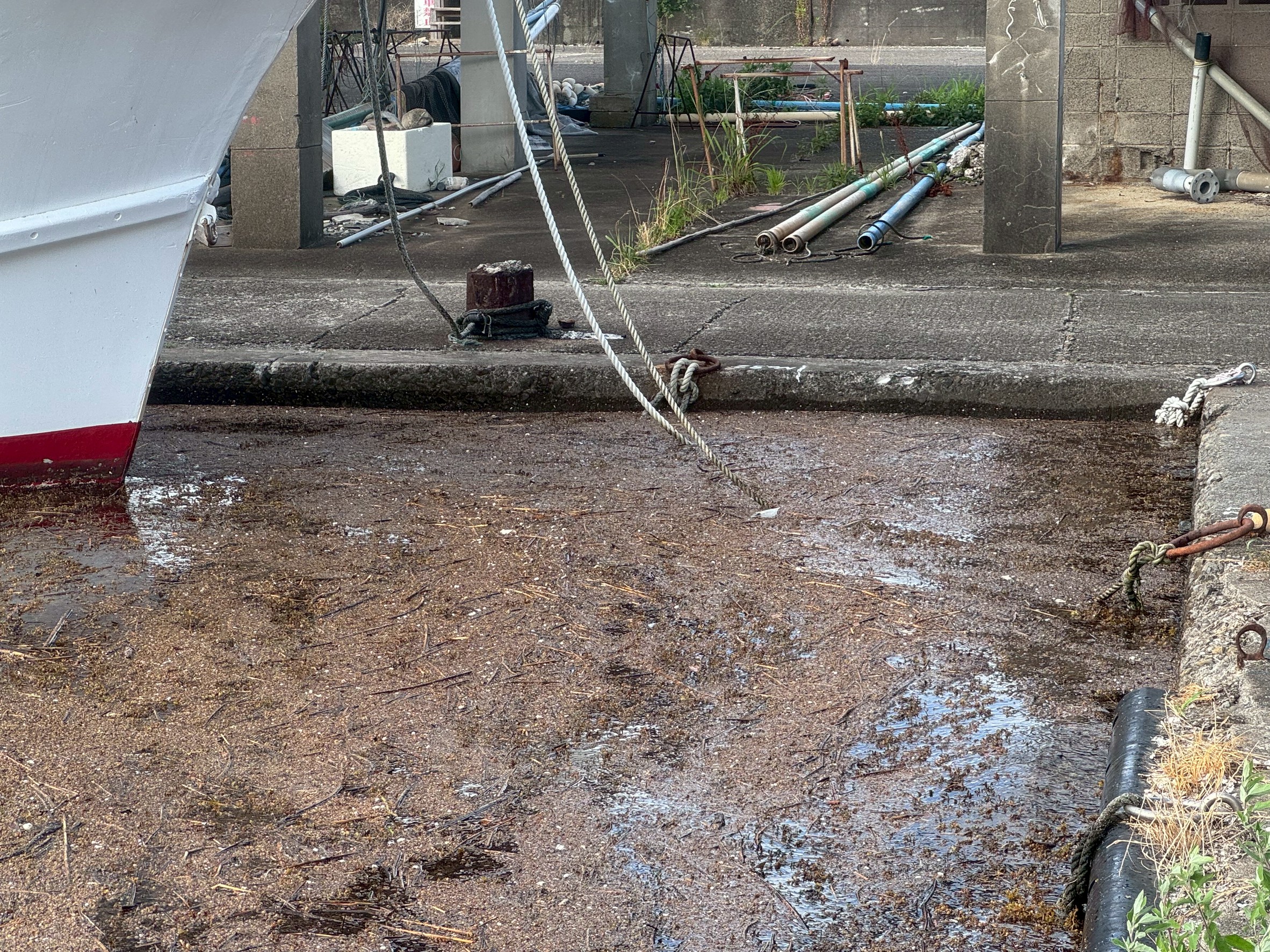 台風が来なくても発生する“高潮（たかしお）”。釣太郎